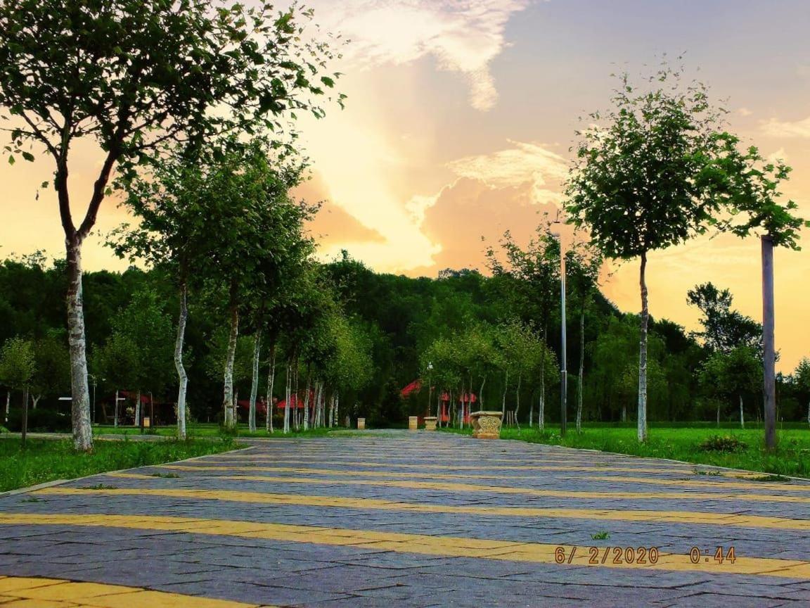 Illara Spa Hotel Irshava Ngoại thất bức ảnh
